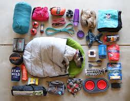 Some Of Our Favorite Camping Gear Flatlay Gearshot Dogcampinggear Campinghacksfordogs In 2020 Camping Gear Gifts Dog Camping Family Tent Camping