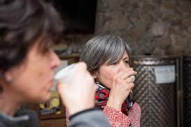 Montecatini Terme: Olive Grove Tour With Oil Tasting