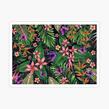 Jan 19, 2021 · the tubular paired flowers have dark purple cups encircling scarlet flowers. Tropical Flowers Pattern Of Exotic Flower And Plants Realistic Watercolor Painting Jungle Exotic Flowers Butterfly And Leaves Exotic Tropical Background Poster By Mehendra Redbubble
