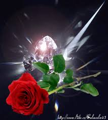 Zum geburtstag jetzt online gestalten und als echte karte verschicken. Dreamies De 9q9atbm3fq0 Gif Blumen Gif Liebe Blumen Schone Blumen