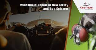 Windshield Repair New Jersey The Bugs That Splatter Your Windshield