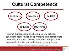 This Is How We Look At Cultural Competence Within An Organization However Some Organizat Cultural Competence Cross Cultural Communication Cultural Awareness