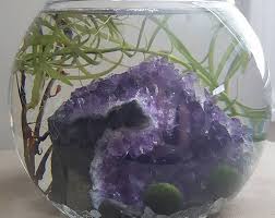 Crystal Garden Marimo Garden Water Garden Metaphysical Spiritual Decor Raw Crystals And Stones Amet Indoor Water Garden Crystal Garden Water Garden