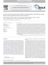 Adding address from windows wallet for asic miner (baikal giant+). Pdf Current State Of The Sponge Fauna Porifera Lubomirskiidae Of Lake Baikal Sponge Disease And The Problem Of Conservation Of Diversity