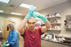 Der studiengang bio science and health b.sc. Wsu Spokane Magazine Wsu Health Sciences Spokane Extra Washington State University
