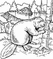 Live national indigenous peoples day will begin at 11:00am. 130 Metis Colouring Pages Ideas Colouring Pages Coloring Pages Coloring Books