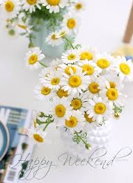 gyclli happy weekend images good morning greetings happy weekend quotes
