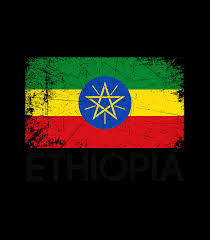 Icon(960 × 537pxl ) 4. Ethiopian Flag Vintage Made In Ethiopia Digital Art By Thanh Nguyen