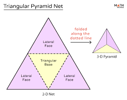 What Are Lateral Faces Of A Shape? Definition And Examples