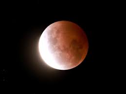 Nov 11, 2021 · phases of the partial lunar eclipse on nov. Peykpfvl5v Hym