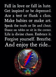 Constantly choosing the lesser of two evils is still choosing evil.. Pin By Stella Blue On Grateful Music Grateful Dead Quotes Dead Quote Grateful Dead