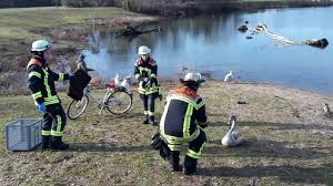 Find exclusive offers for the best offenburg accommodation! Offenburg Feuerwehr Schwan Am Gifiz See Gerettet Offenburg Lahrer Zeitung
