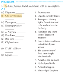 What scrabble words can i make with the letters in proenzymes? Solved Problems 1 Fast And Furious Match Each Term With Chegg Com