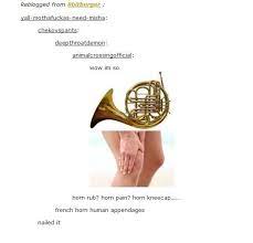 Pin By Kai On Oh Tumblr Tumblr Funny Funny Tumblr Posts Hilarious