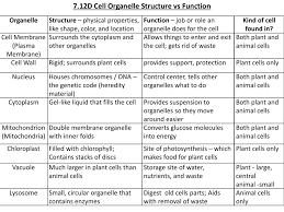Check spelling or type a new query. 7 12d Cell Organelle Structure Vs Function