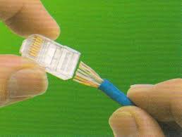 To achieve this kind of wiring, consider the following guide on how to wire a patch panel: Cat 5 Wiring Diagram Crossover Cable Diagram