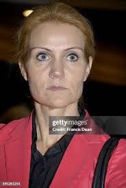 224 Neil Schmidt Stock Photos, High-Res Pictures, and Images