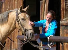 We have 25 of the best vacation ranches in colorado to explore. 10 Of North America S Best Family Ranch Vacations