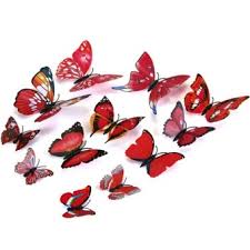 Kết quả hình ảnh cho bướm