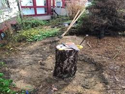 Werde auch du zu einem/r gartenheld/in wenn du landschaftsgärtner/in bist und du in einem tollen team mit modernen maschinen. Baka Galabau Ihr Gartenbauer Aus Ludwigshafen