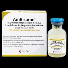 Image result for Amphotericin B