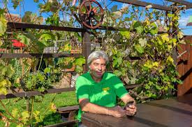 Er war für sonntag, 28. Offene Garten 2020 Buen Verein Fur Familiengarten Dubendorf