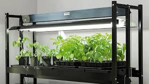 Check spelling or type a new query. How To Choose An Led Grow Light Gardener S Supply