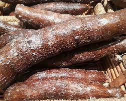 Le Manioc Origine Description Valeurs Nutritionnelles La Cuisine D Eva