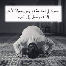 Pin On مجانين بوك