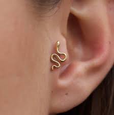 Paradise Earings Piercings Cute Ear Piercings Ear Piercings