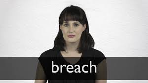 Meaning, pronunciation, synonyms, antonyms, origin, difficulty here you'll get most accurate definitions, close synonyms and antonyms, related words, phrases and. Breach Definition And Meaning Collins English Dictionary