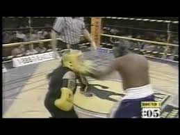Member of howard sterns wack pack. Beetlejuice From The Howard Stern Show In A Real Boxing Fight Youtube Howard Stern Show Boxing Fight Howard Stern