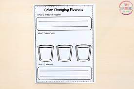 We also decided that we will try roses alongside carnations and see if one takes on the color. Color Changing Flowers Science Experiment