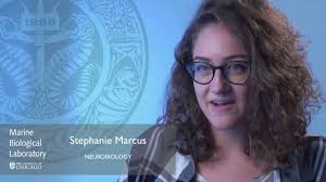 Stephanie Marcus, Neurobiology, MBL
