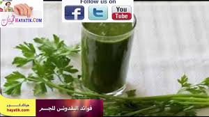 فوائد البقدونس للجسم فوائد البقدونس للكلى فوائد البقدونس فوائد البقدونس How To Make Drinks Heath Benefits Parsley Benefits