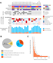 Determining the exact number of people living with cancer throughout the. Genome Wide Crispr Screens Of Oral Squamous Cell Carcinoma Reveal Fitness Genes In The Hippo Pathway Elife