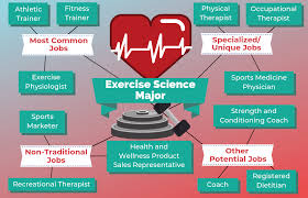 12 Jobs For Exercise Science Majors The University Network Recreational Therapist Doctor Of Physical Therapy Fitness Jobs