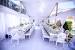 Wedding Decor Ideas