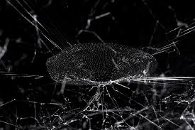 Spider web stock photos and images. Free Photo Spider Web Animal Insect Nature Free Download Jooinn