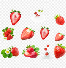 Strawberry Png Strawberry Clipart Fruit Vector Fresh Strawberry Png Image With Transparent Background Toppng All strawberry clip art are png format and transparent background. strawberry png strawberry clipart