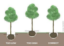 Maybe you would like to learn more about one of these? Russell Tree Experts Planting Trees Is Easy Right