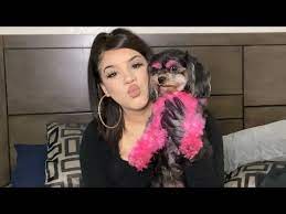 (150 g) permanent color lasts for more than 20 opawz pet hair chalk does not compromise the coat in any way, safe for dogs and cats! I Dyed My Dogs Hair Pink Youtube