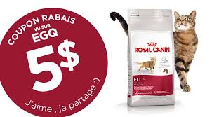 Coupon Rabais De 5 Nourriture Royal Canin Pour Chat Convenience Store Products Coupons Convenience Store