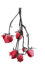 Hang the flowers upside down on a hanger or hook in a warm, dry, dark place. How To Dry Flowers By Yaoflowers