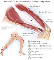 Running Injuries Jama 2014 312 2 202 Doi 10 1001 Jama 2013 283011 Running Injuries Injury Running
