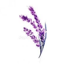 Iconswebsite Com Icons Website Search Over 28444869 Icons Icon Set Web Icons Logo Business Icons Button People Icon Symbol Lavender Flowers Waterc Hoa