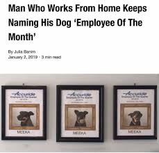 Employee of the month is all about a guy whose day spirals from bad to worse when he gets fired from his dream job at the bank and can be dumped by his fiancée sa ra. Employee Of The Month Rarepuppers