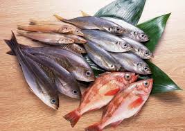 Melihat banyak ikan yang sudah mati. Jika Anda Bermimpi Membeli Ikan Mengapa Bermimpi Membersihkan Ikan Apa Yang Menandakan Mimpi Seperti Itu