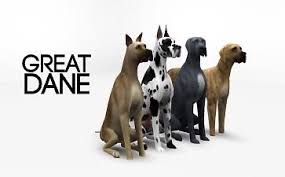 With all the exciting new opportunities you will be able to use the resources much more efficiently and enjoy the game like never before. Mod The Sims Great Dane 4 Colors Sims Pets Sims 4 Pets Sims 4 Pets Mod