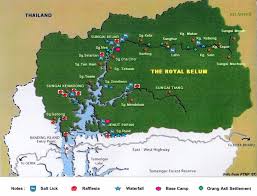 Alhamdulillah masih ada lagi gajah comel disini. Royal Belum State Park Nature Belum Explorer